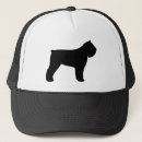Recherche de de flandre bouvier Chien