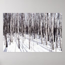 Suche nach birkenwald poster Winter