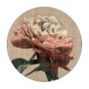 Recherche de fleur rouge planches à découper Rose