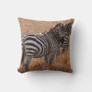 Suche nach mähne kissen Katze