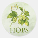 Recherche de houblon houblon autocollants Fleurs