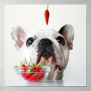 Suche nach babytiere poster Welpe