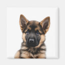 Suche nach german shepherd alle magnete Niedlich