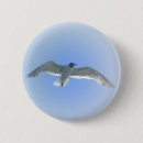 Recherche de mouettes badges Ciel