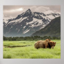 Suche nach grizzlybär poster Alaska