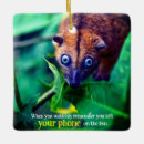 Recherche de possum ornements Mignon