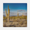 Recherche de saguaro magnets Coucher du soleil