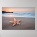 Suche nach seestern poster Generativer inhalt