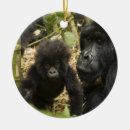 Suche nach erwachsene ornamente Familie