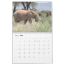 Suche nach witzige kalender Elefant