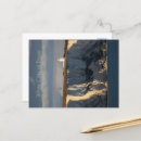 Suche nach weiße klippen postkarten Taube