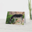 Suche nach lustiger esel karten Bunt