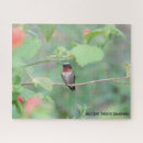 Recherche de throated Photographie