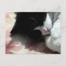Suche nach rosa katzen postkarten Smoking