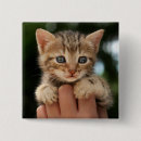 Suche nach tierthemen buttons Katze