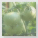 Suche nach tomaten untersetzer Natur