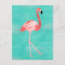 Recherche de oiseau exotique cartes postales Rose