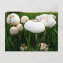 Recherche de sportif cartes postales Champignon