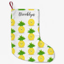 Recherche de ananas chaussette de noël Fruit