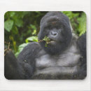 Suche nach berggorilla mousepads Menschenaffe