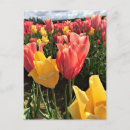 Recherche de pretty cartes postales Fleurs