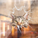 Recherche de voiture autocollants Drôle