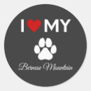 Recherche de bernois autocollants Montagne