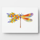 Recherche de libellules plaques Papillon