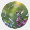 Recherche de colibri vert autocollants Nature