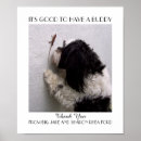 Recherche de buddy posters Dog