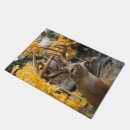 Recherche de deer paillassons Chasse