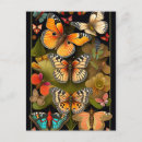 Recherche de haeckel cartes postales Nature