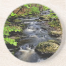 Suche nach fähre untersetzer Wald