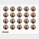 Recherche de wombat autocollants Faune
