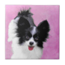 Recherche de papillon carreaux Blanc