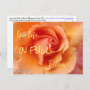 Recherche de abricots cartes postales Jardinage