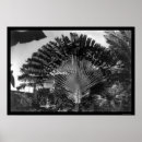Suche nach der reisende poster Fotografie