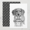 Recherche de chien noir invitations Pour animaux