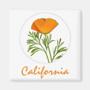 Recherche de fleurs de pavot magnets Orange
