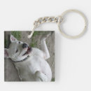 Recherche de chien blanc porteclés Doux