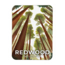 Recherche de notre arbre magnets Aquarelle