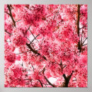 Suche nach japanische kirschblüte poster Baum