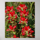 Suche nach malerpinsel poster Rot
