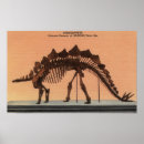 Suche nach naturgeschichte poster Museum