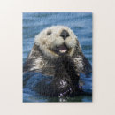 Recherche de loutre puzzles Sauvage