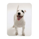 Suche nach tierkopf magnete Vertikal