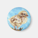 Suche nach kick magnete Baby küken