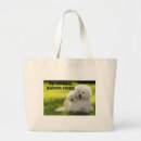 Recherche de bichon sacs Animaux familiers
