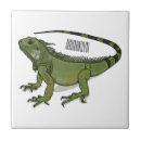 Recherche de lézard carreaux Iguana