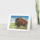 Suche nach amerikanischer büffel karten Bison